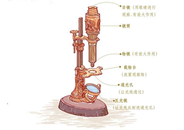 Ԫ?xn)ȳӲ˿ƌW(xu)ߴP(pn)c(din)ƌW(xu)(li)